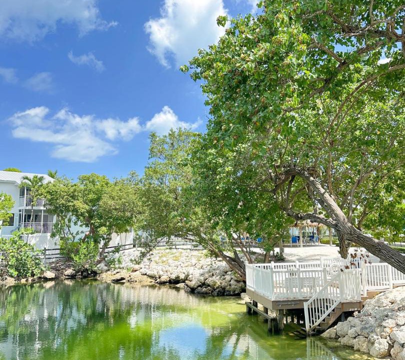 Photo of Others in Key Largo
