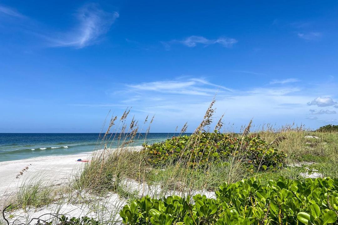 Photo of Others in Longboat Key