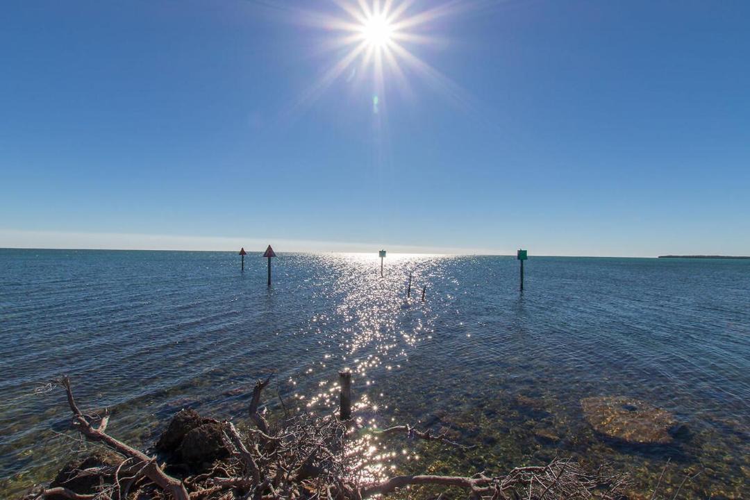 Photo of Others in Tavernier