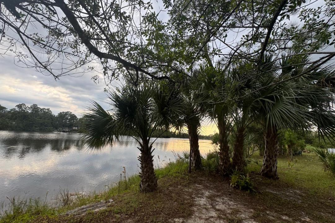 Photo of Others in Clewiston