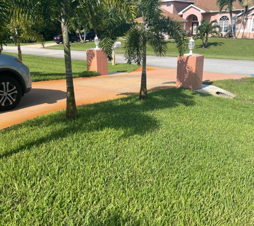 Photo of Others in Port Saint Lucie