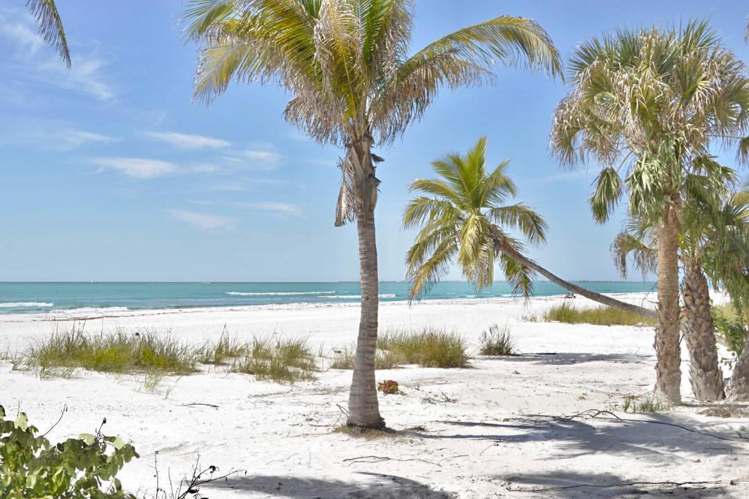 Photo of Others in Fort Myers Beach
