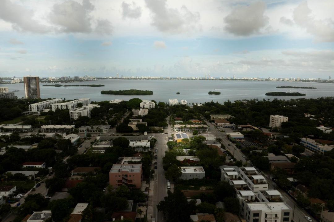 Photo of Others in Northeast Miami