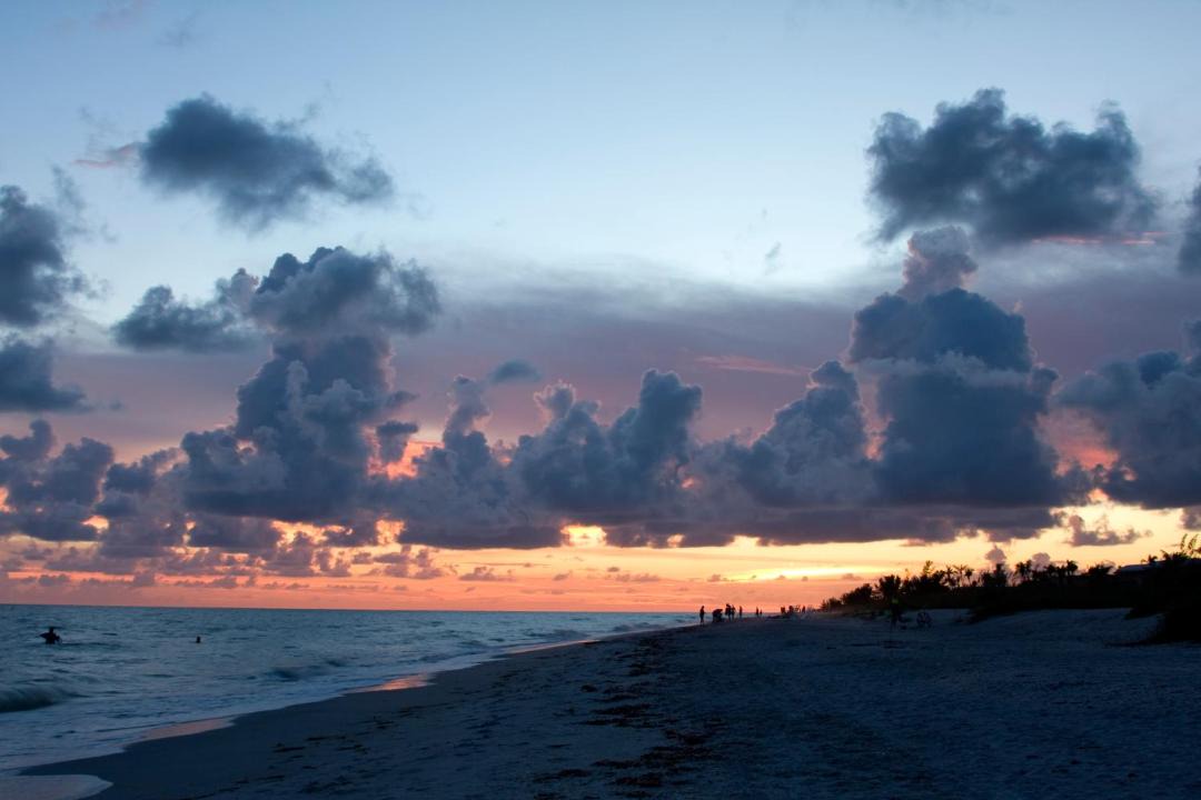 Photo of Others in Sanibel