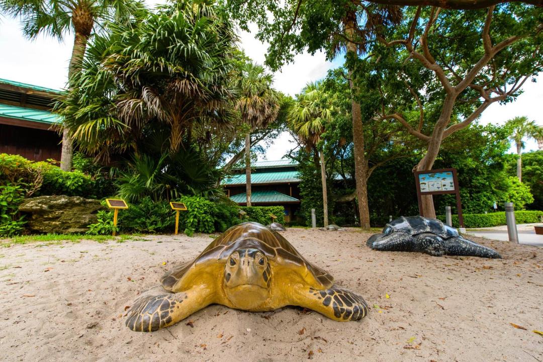 Photo of Others in Delray Beach