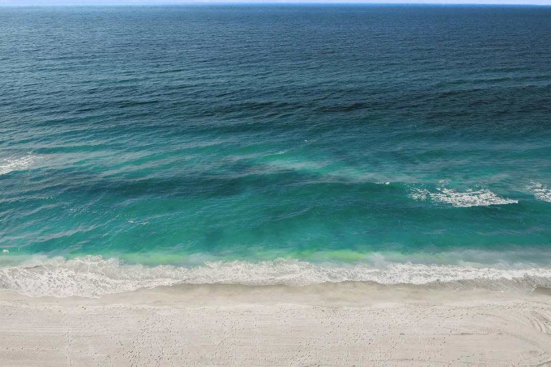 Photo of Others in Saint Armands Key