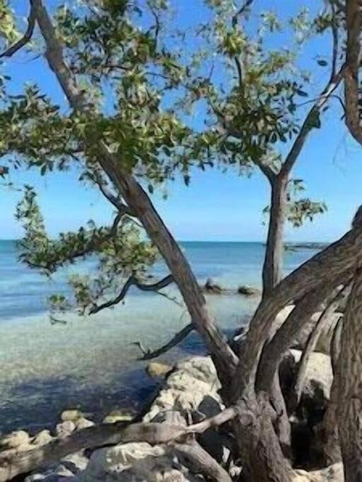Photo of Others in Key Largo