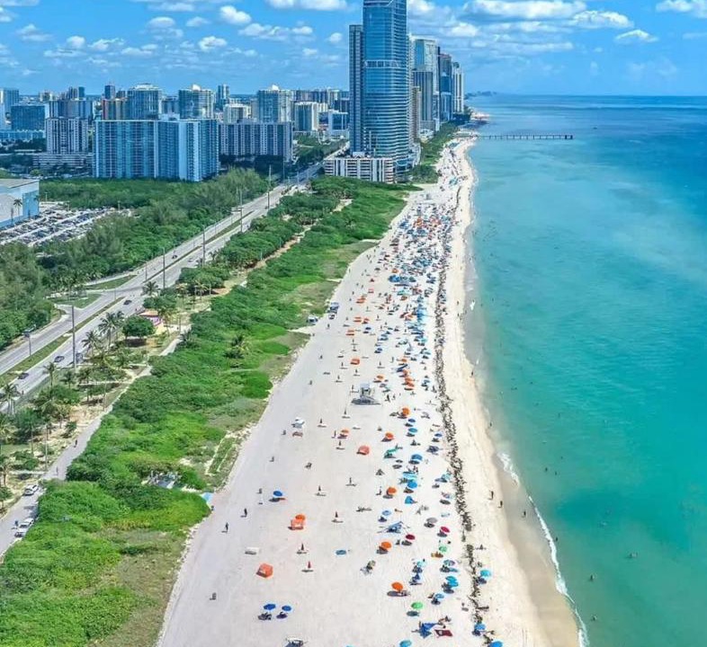 Photo of Others in Northeast Miami