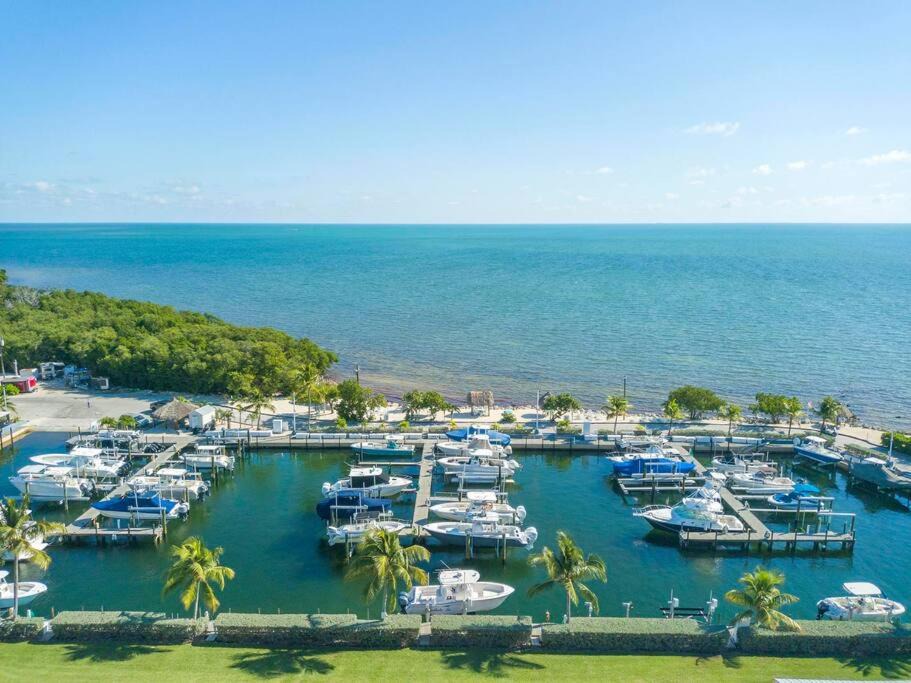Photo of Others in Key Largo
