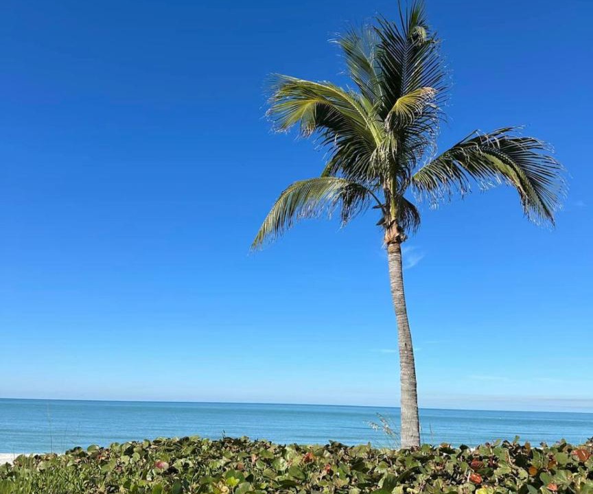 Photo of Others in Captiva