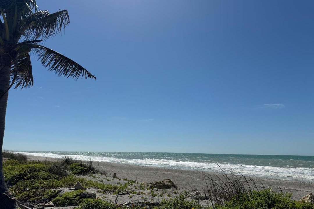 Photo of Others in Captiva