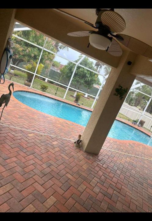 Photo of Others in Fort Myers