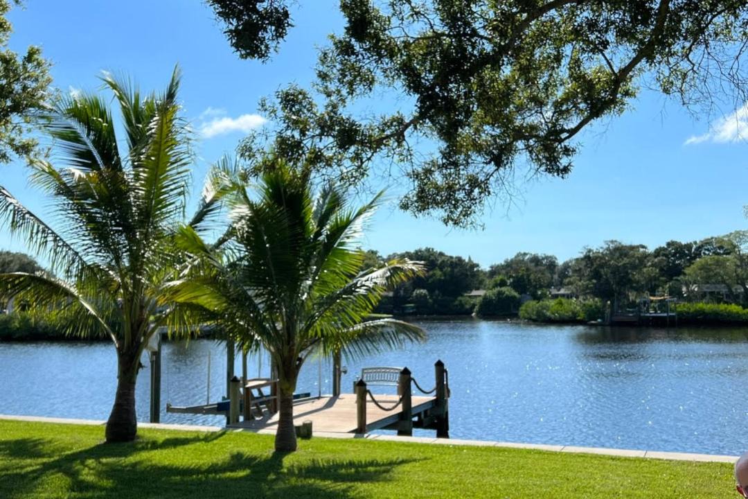 Photo of Others in Clearwater