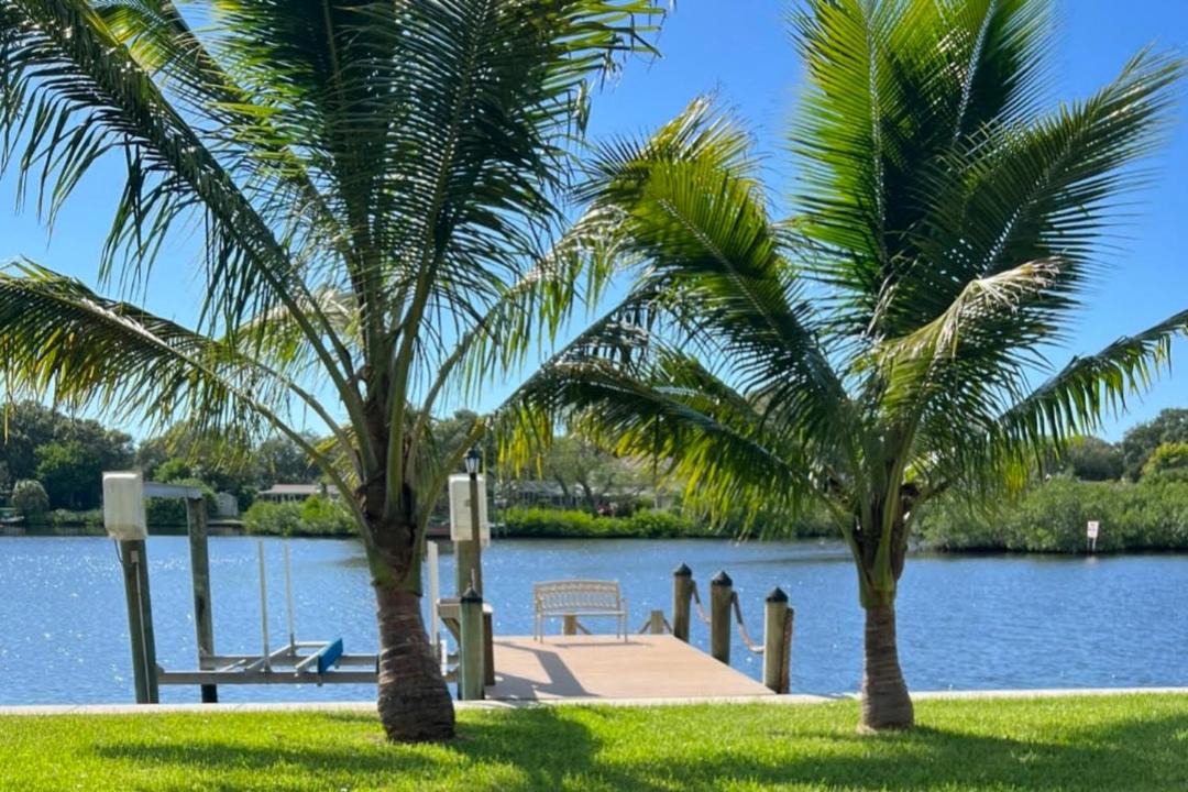 Photo of Others in Clearwater