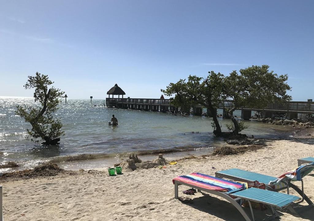Photo of Others in Tavernier