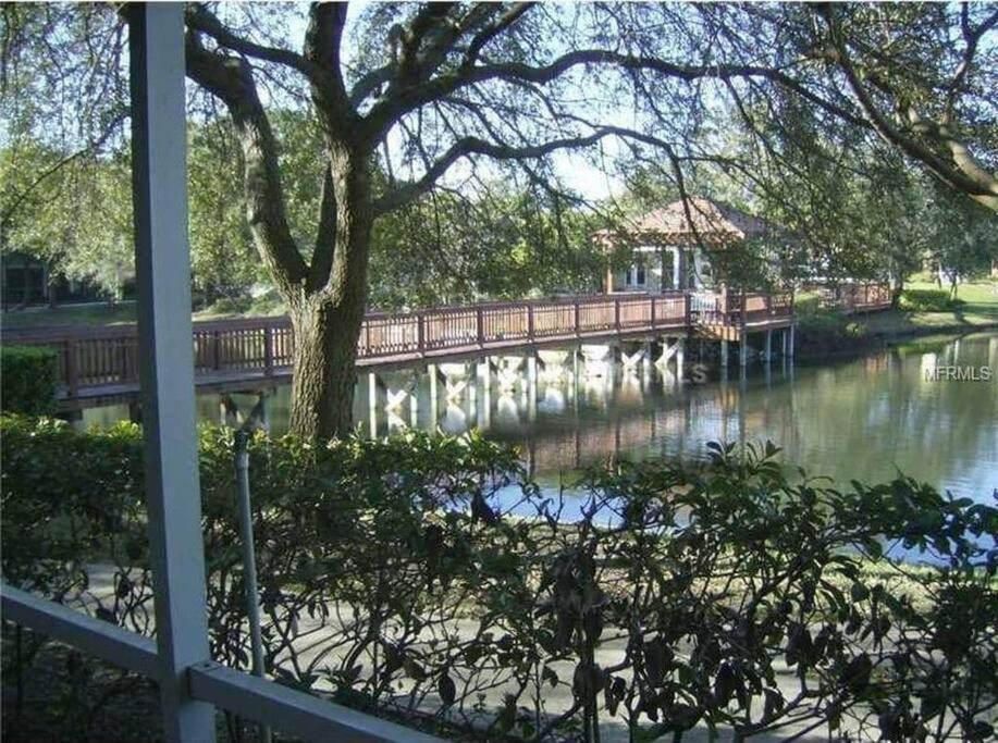 Photo of Others in Carrollwood