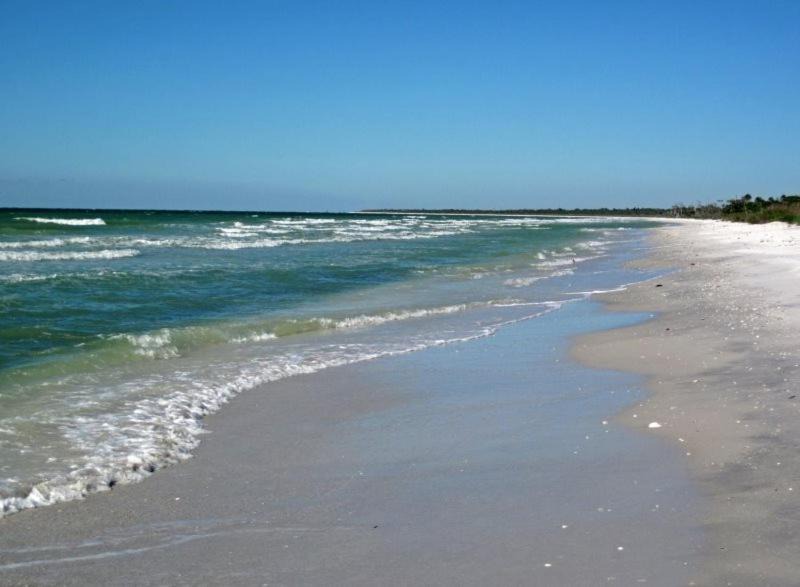 Photo of Others in Gulf Pines