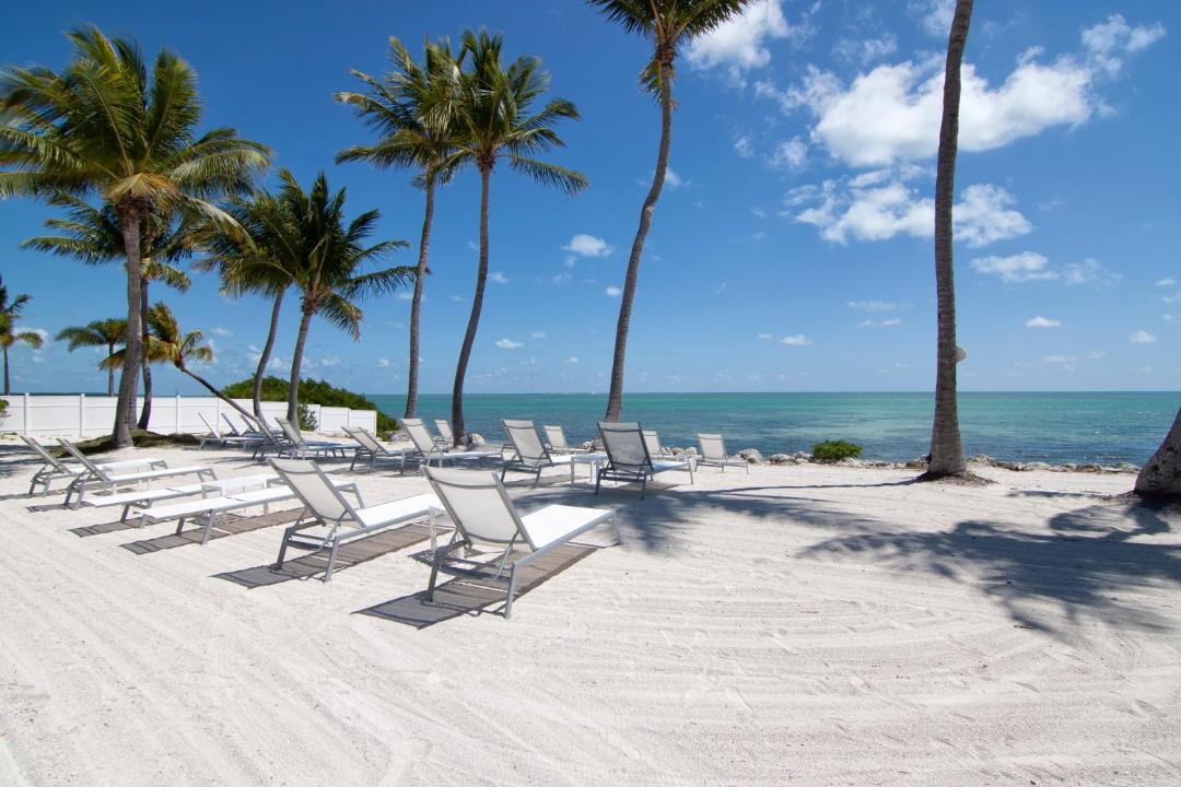 Photo of Others in Islamorada