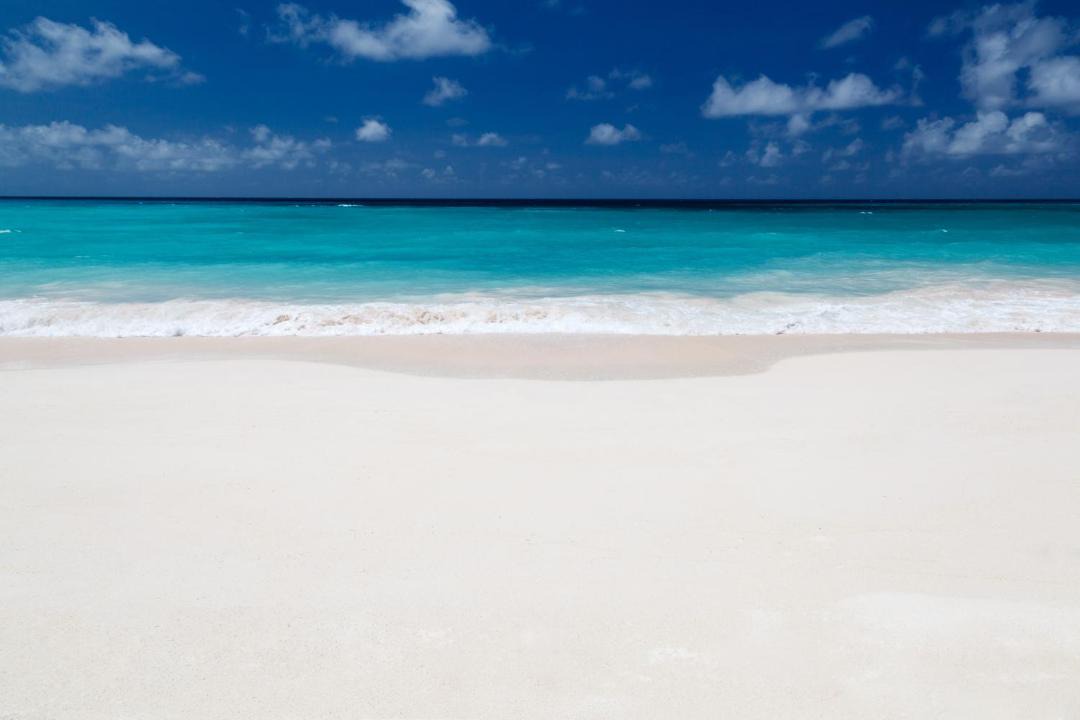 Photo of Others in Sunny Isles Beach