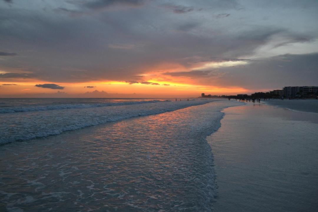 Photo of Others in Siesta Key
