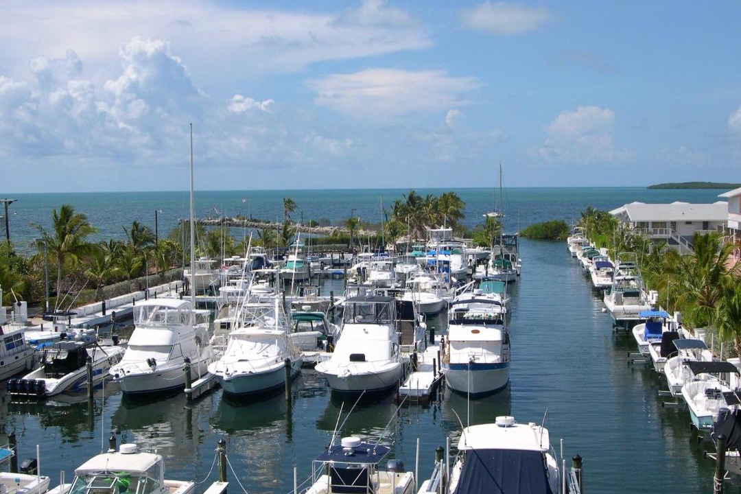Photo of Others in Key Largo
