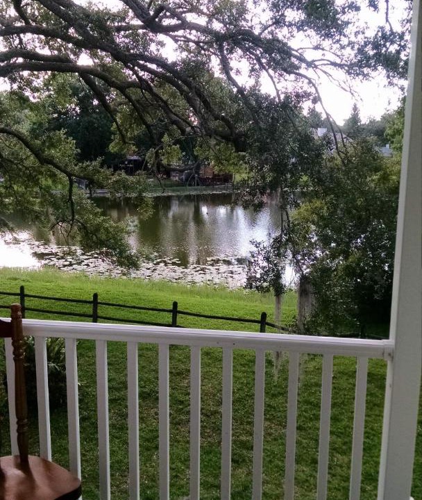 Photo of Others in Tampa