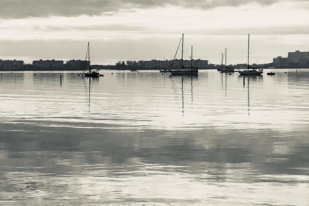 Photo of Others in Gulfport