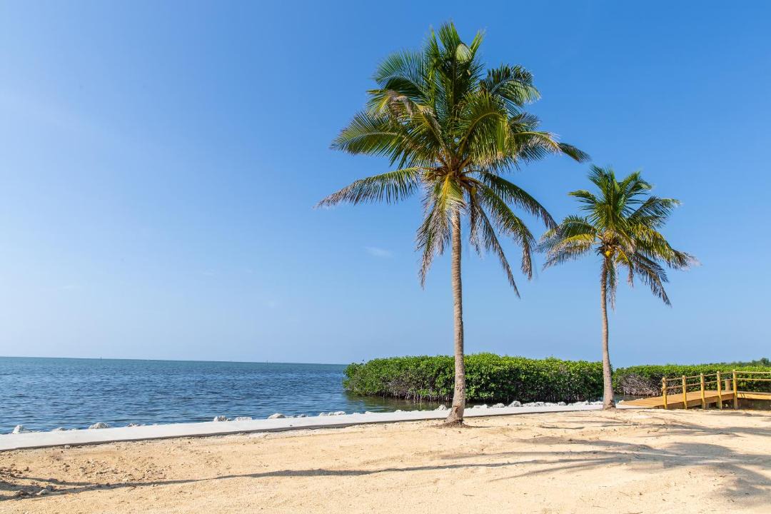 Photo of Others in Islamorada