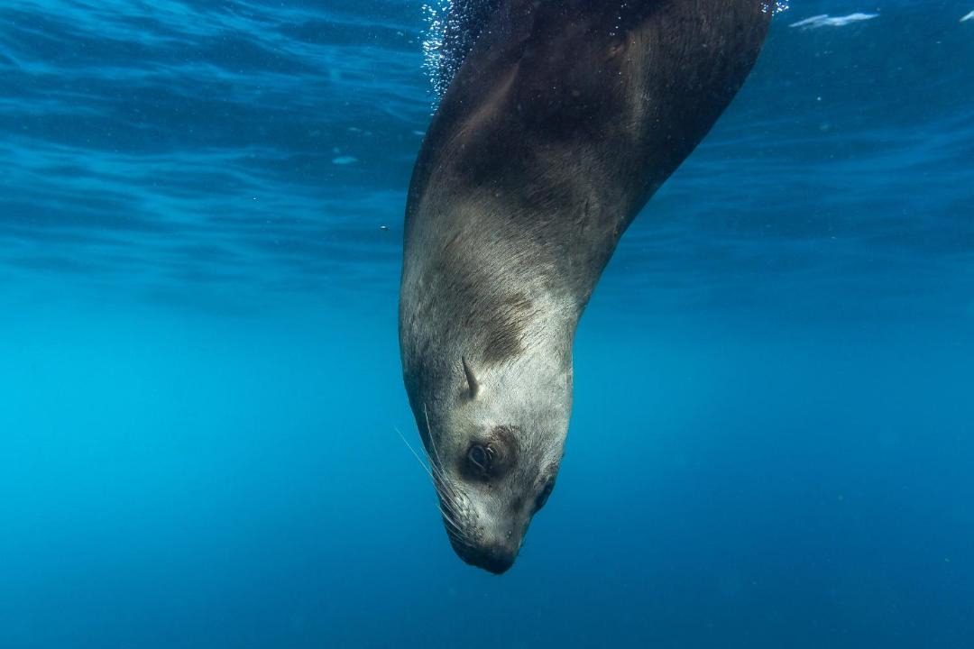 Photo of Others in Islamorada