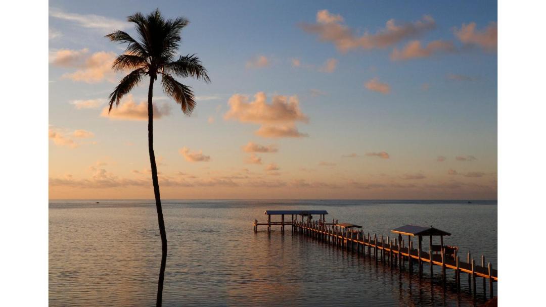 Photo of Others in Islamorada
