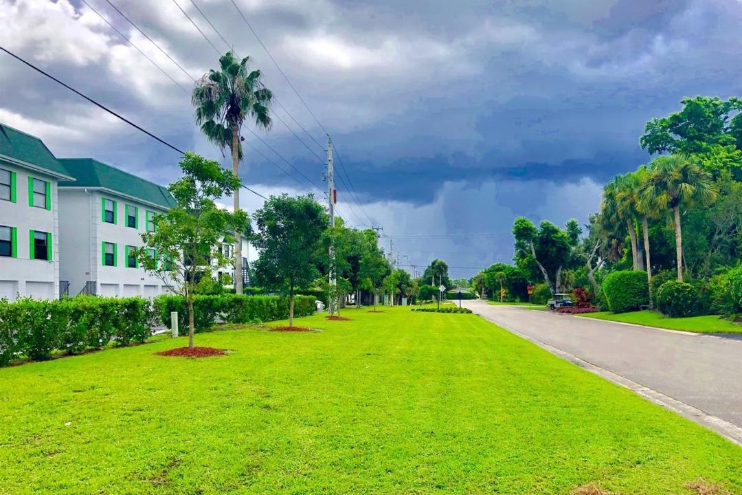 Photo of Buildings in Palm River Estates