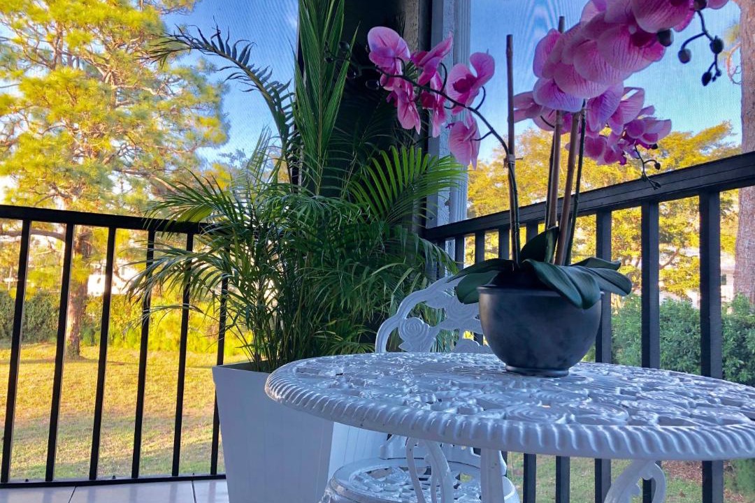 Photo of Patio Balcony in Palm River Estates