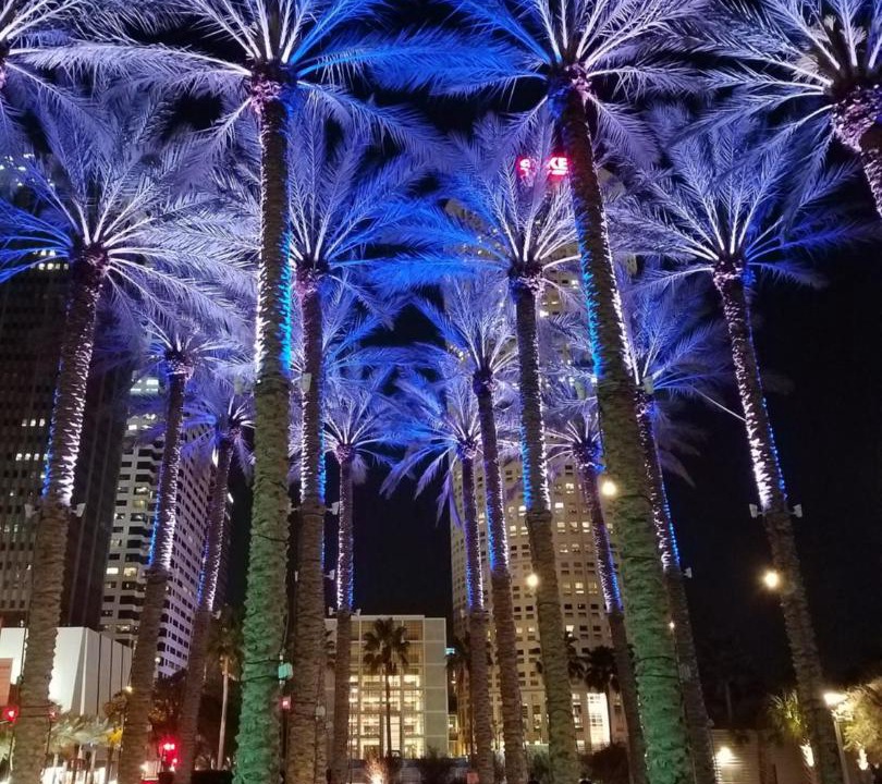 Photo of Others in Downtown Tampa