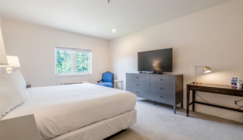 Basic Single Room