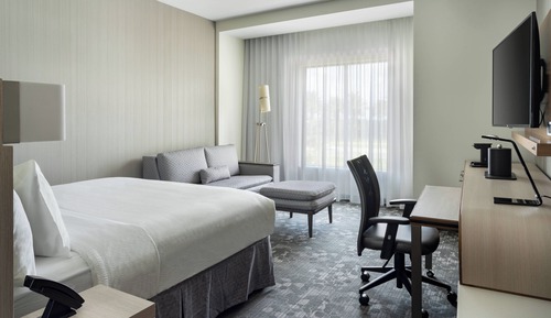 Room, 1 King Bed with Sofa bed