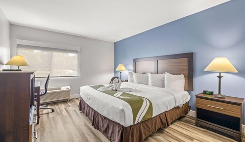 Standard Room, 1 King Bed, Non Smoking