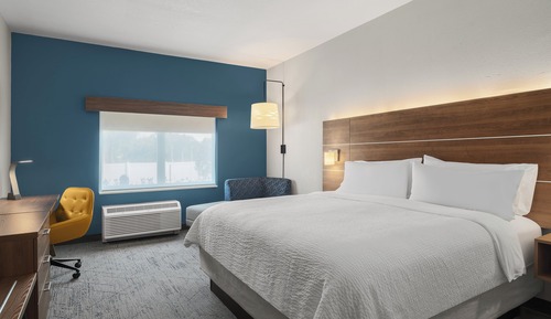 Standard Room, 1 King Bed, Accessible (Comm, Transfer Shower)