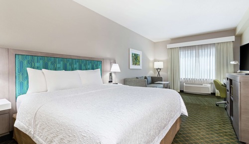 Room, 1 King Bed with Sofa bed, Non Smoking, Refrigerator
