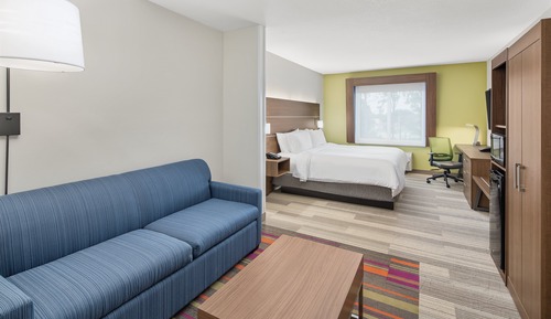 Suite, 1 King Bed with Sofa bed