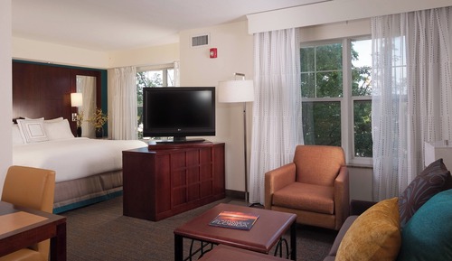 Studio, 1 King Bed with Sofa bed (Mobility Accessible, Roll-In Shower)