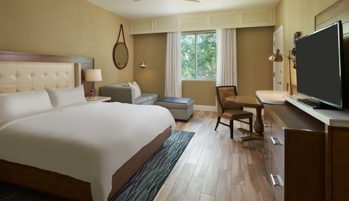 Room, 1 King Bed (Mobility Accessible, Roll-in Shower)