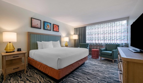 Suite, 1 King Bed with Sofa bed, Non Smoking (Efficiency)