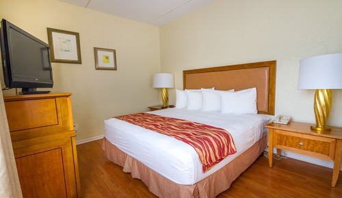 Room, 1 King Bed, Accessible, Non Smoking
