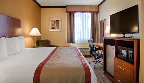 Standard Room, 1 King Bed, Non Smoking, Refrigerator & Microwave