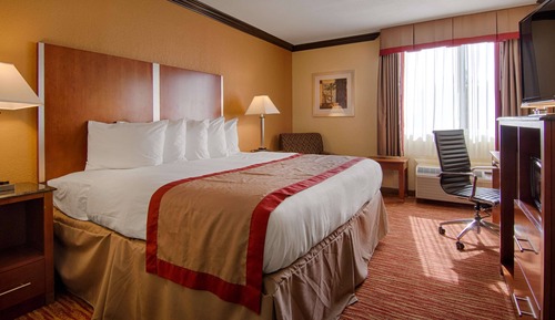 Standard Room, 1 King Bed, Accessible, Non Smoking (Walk-in Shower)