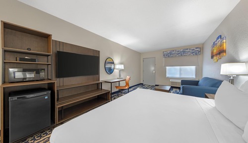 Junior Suite, 1 King Bed, Non Smoking, Refrigerator & Microwave