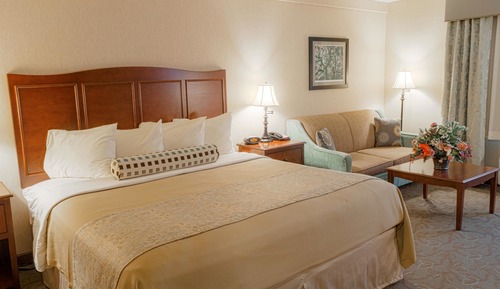 Standard Room, 1 King Bed, Non Smoking, Ground Floor (Pet Friendly;with Sofabed)