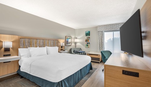 One King Bed, Non-Smoking, Accessible
