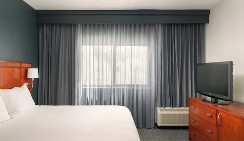 Suite, 1 King Bed with Sofa bed