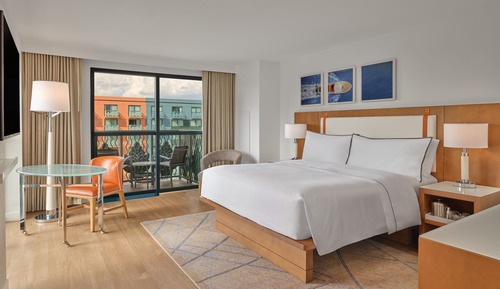 Room, 1 King Bed with Sofa bed